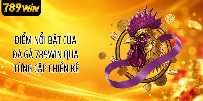 Điểm nổi bật của đá gà 789WIN qua từng cặp chiến kê